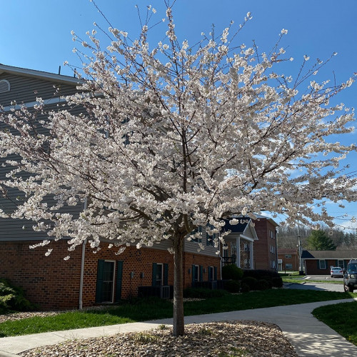 Willow Creek Radford - Gallery - 14