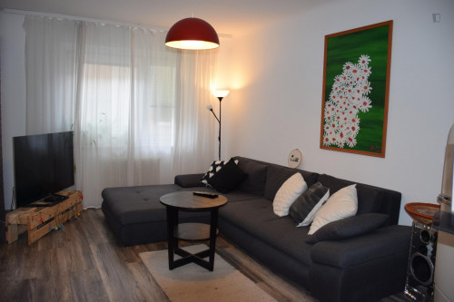 Nice 2-bedroom apartment with excellent link to public transport