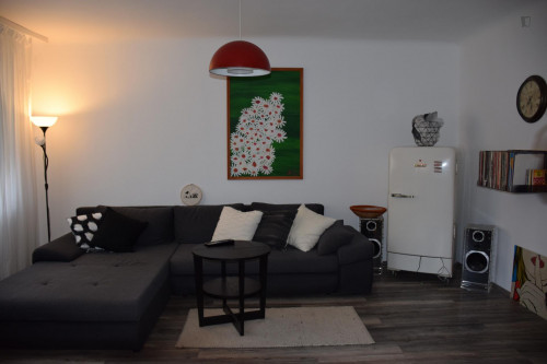 Nice 2-bedroom apartment with excellent link to public transport