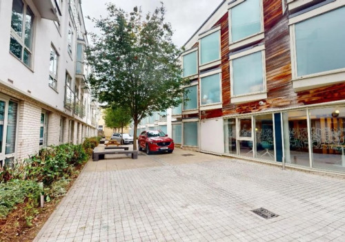 أى كيو هوكستون