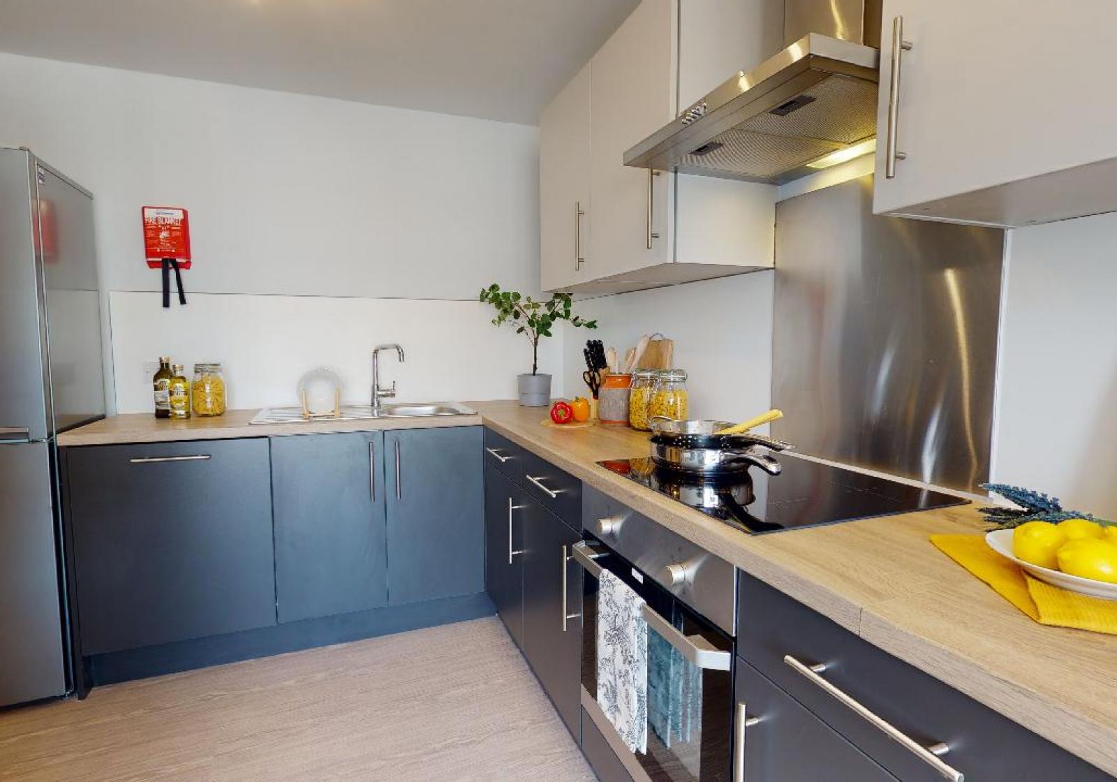  Silver En-Suite Plus  -  iQ Hoxton  - Gallery -  5