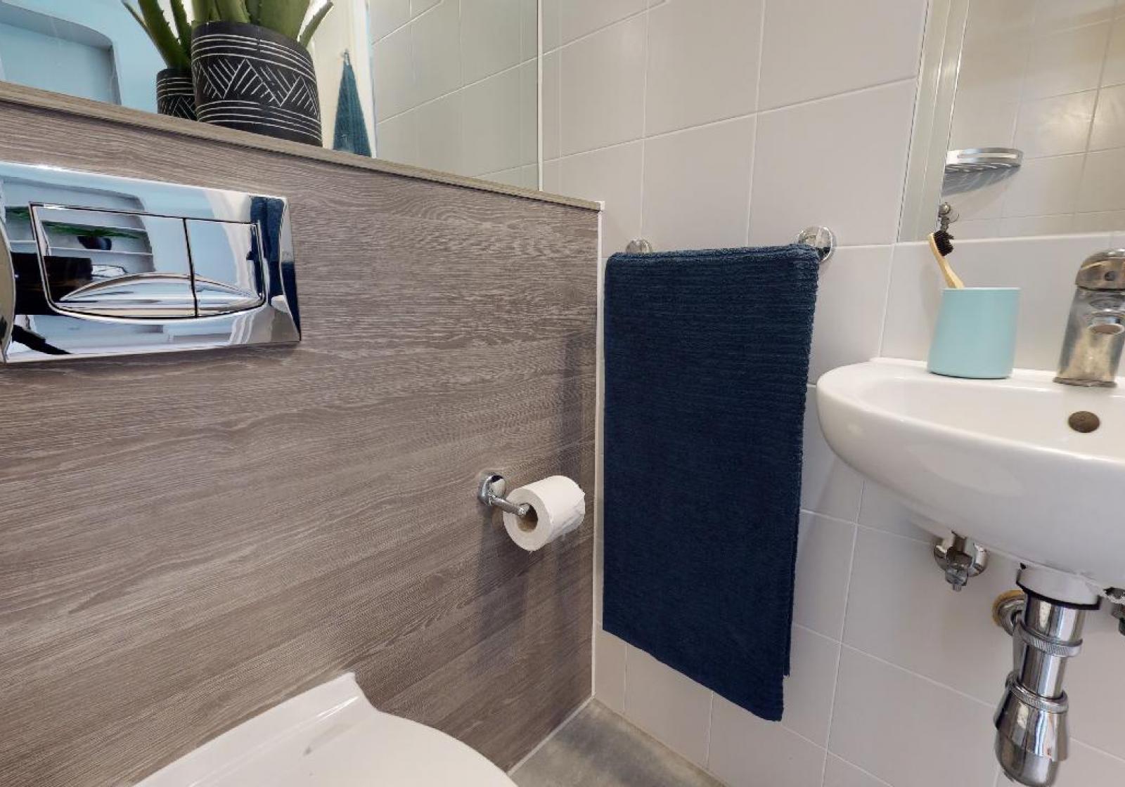  Silver En-Suite Plus  -  iQ Hoxton  - Gallery -  4