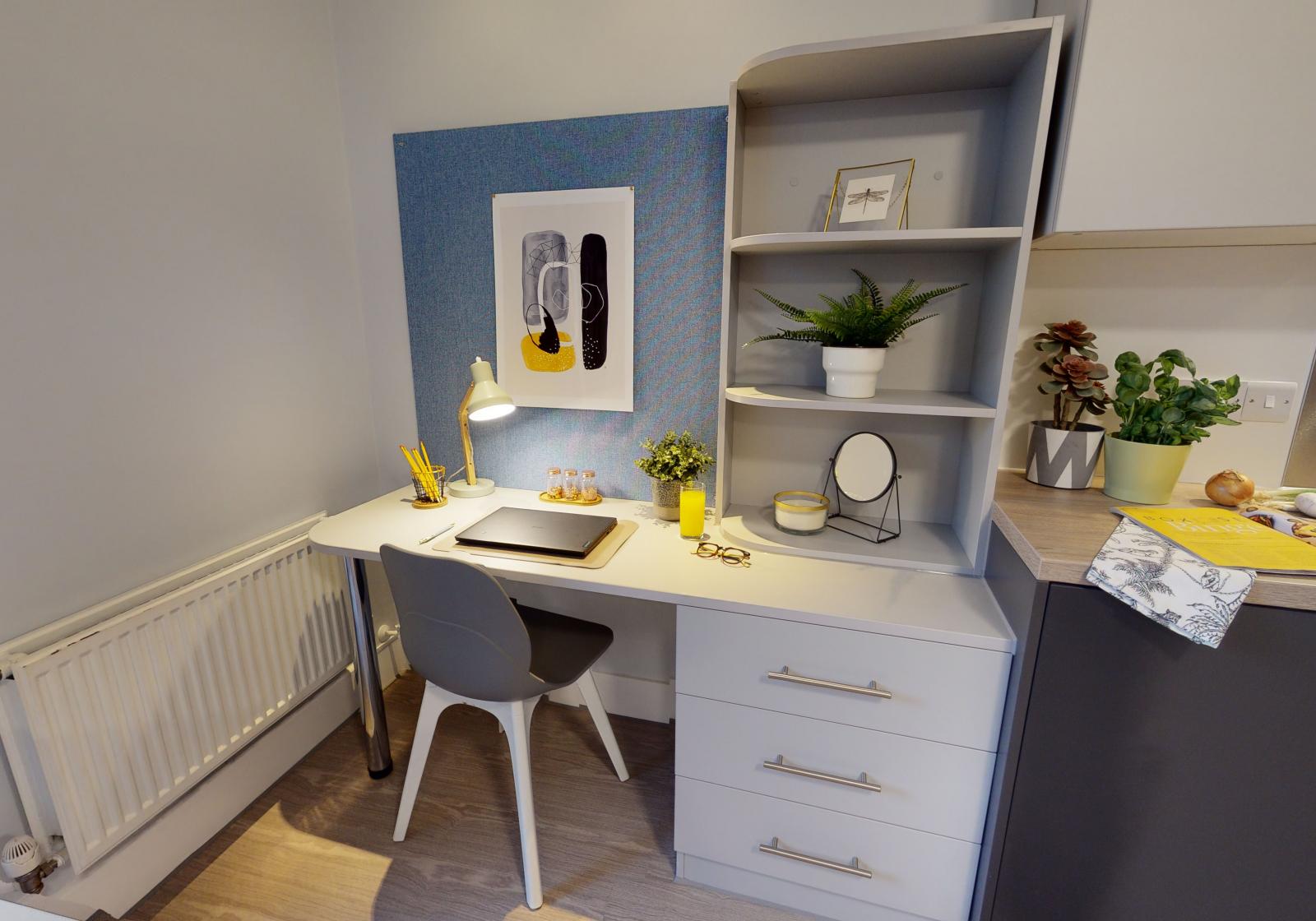  Gold Studio Plus  -  iQ Hoxton  - Gallery -  3