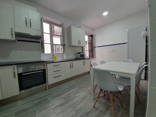 Beautiful double bedroom near Campus Universitario Fuentenueva. Universidad de Granada - Gallery - 19