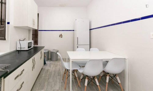 Beautiful double bedroom near Campus Universitario Fuentenueva. Universidad de Granada - Gallery - 14