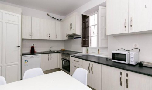 Beautiful double bedroom near Campus Universitario Fuentenueva. Universidad de Granada - Gallery - 12