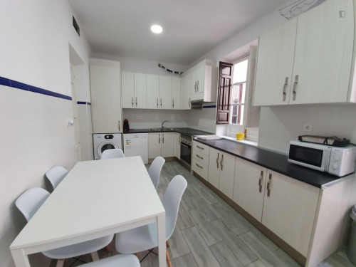 Beautiful double bedroom near Campus Universitario Fuentenueva. Universidad de Granada - Gallery - 17