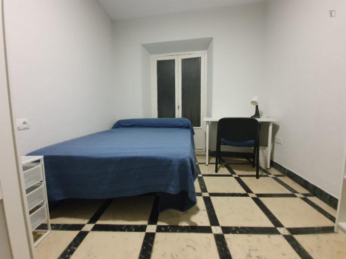 Welcoming double bedroom in a student flat, in the heart of Granada