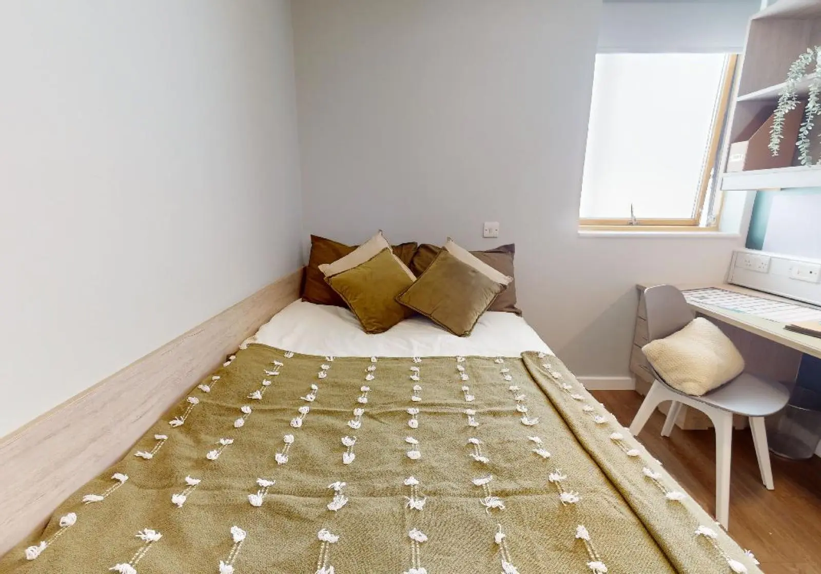 Silver Studio Plus - اي كيو كنجستون - Gallery - 2