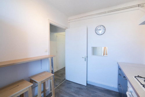 Luminous double bedroom in a 4-bedroom apartment near Saint Agne-SNCF transport station - Gallery - 9