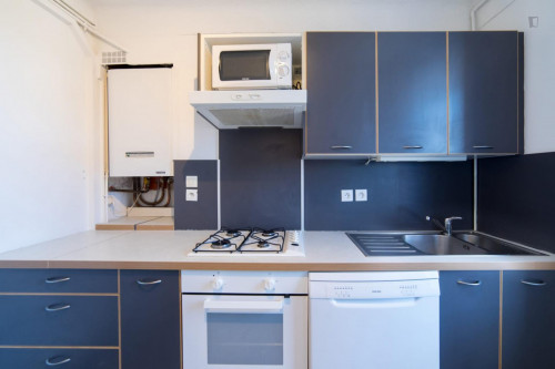 Luminous double bedroom in a 4-bedroom apartment near Saint Agne-SNCF transport station - Gallery - 7
