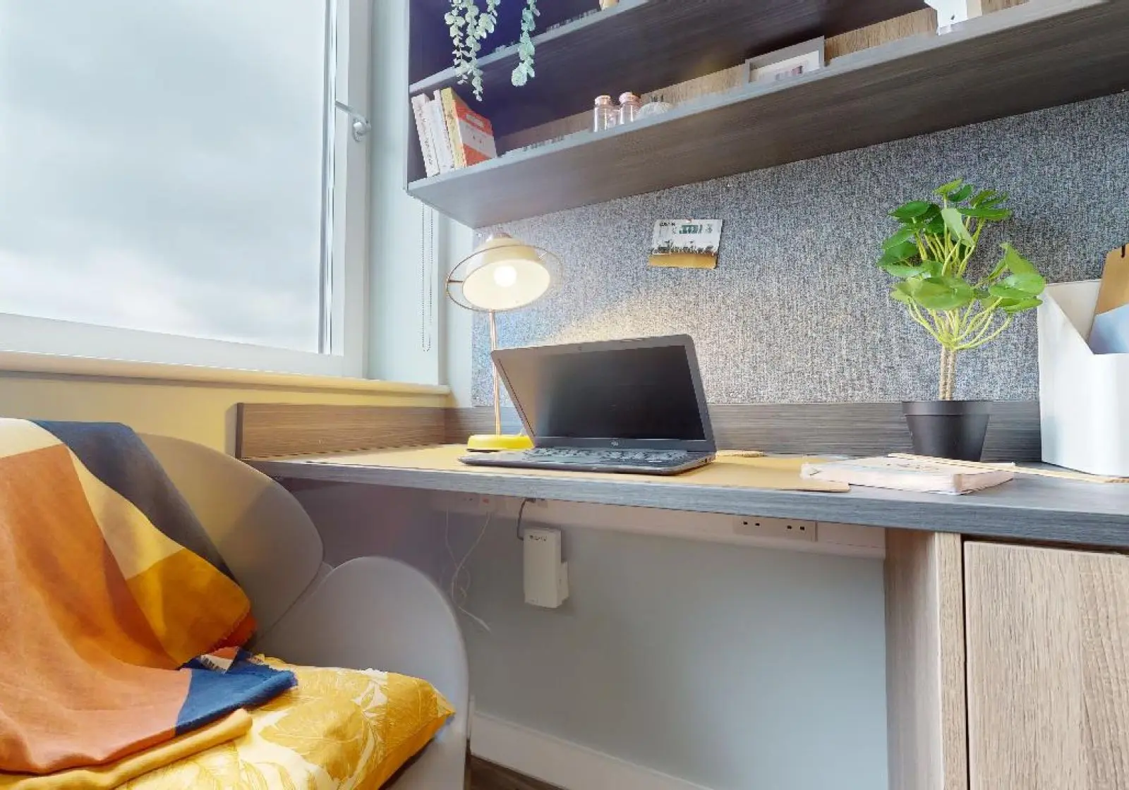  Silver Studio Deluxe  -  iQ Newtown & Newland House  - Gallery -  1