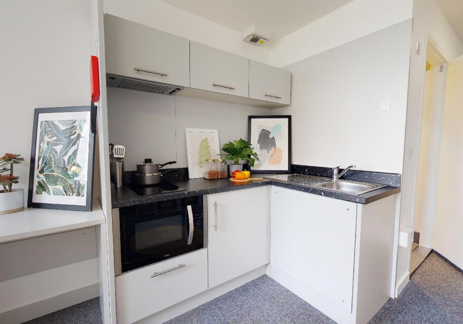 Silver Studio Plus - iQ Newtown & Newland House - Gallery - 3