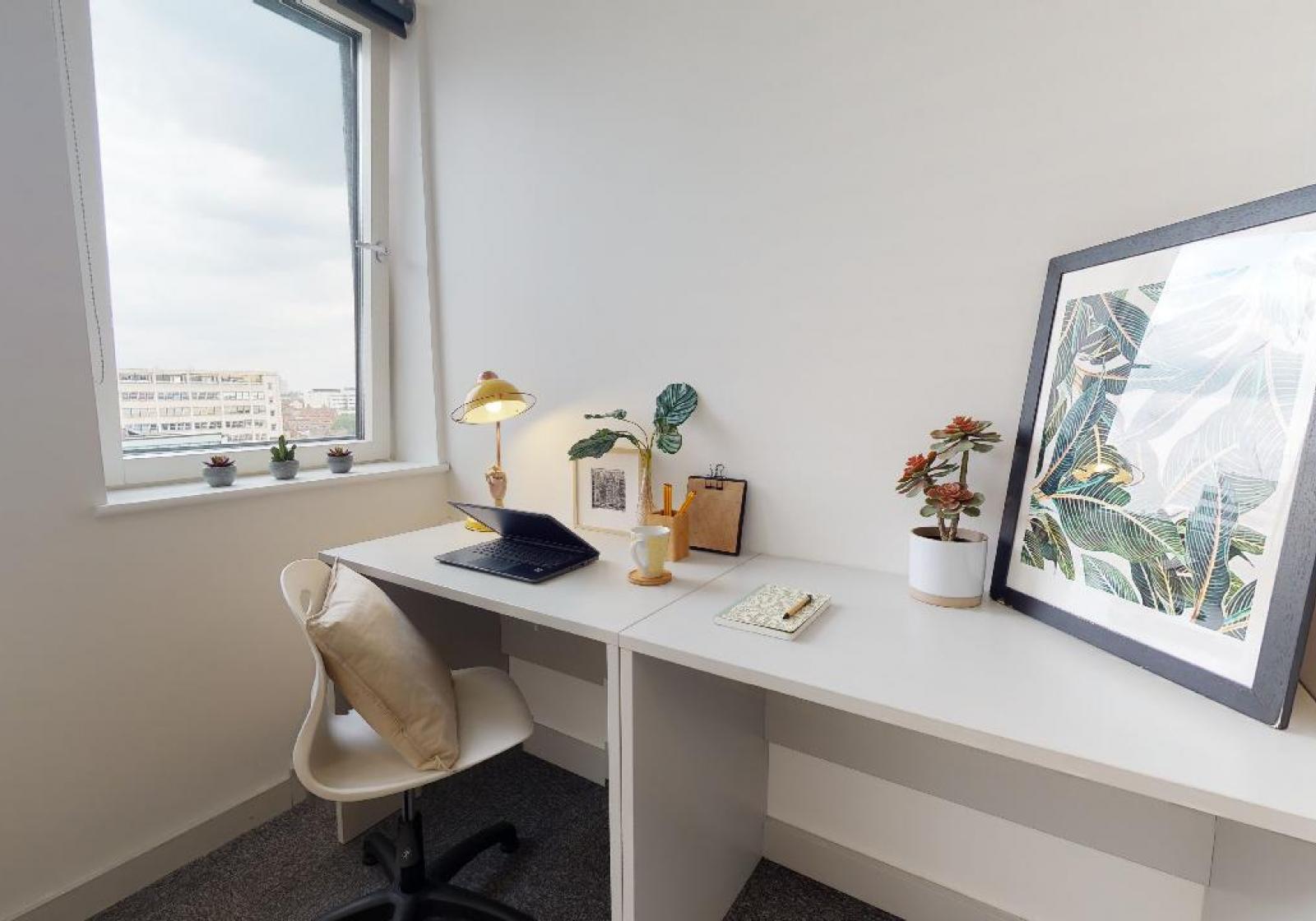 Silver Studio Plus - iQ Newtown & Newland House - Gallery - 2