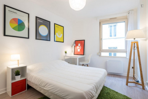 Bright double bedroom in La Guillotière-Sud