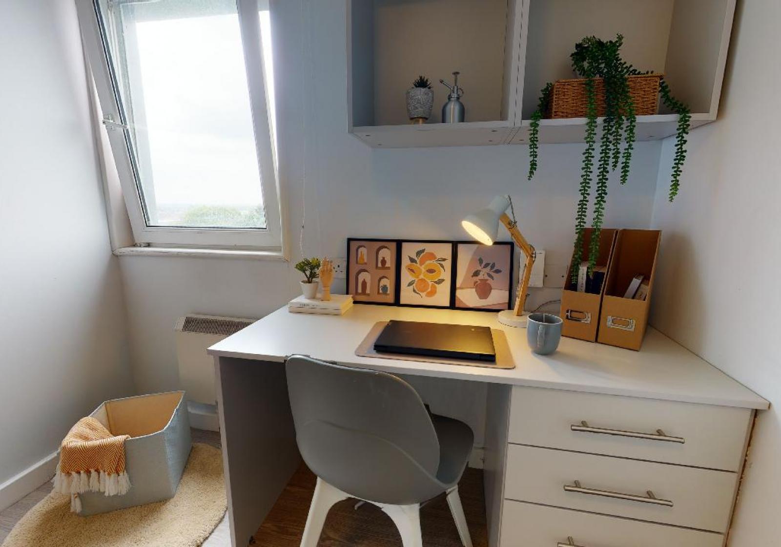  Platinum En-Suite Plus  -  iQ Wilmslow Park  - Gallery -  5