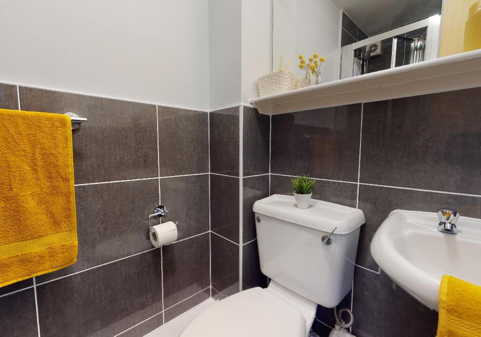  Platinum En-Suite Plus  -  iQ Wilmslow Park  - Gallery -  4