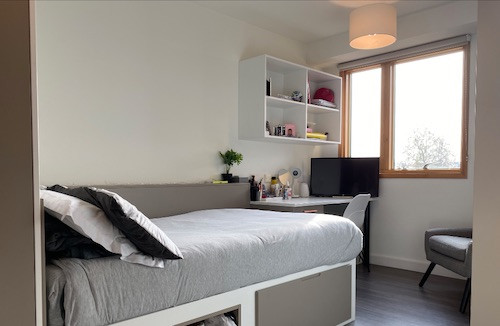 Luxury Studio - 1
