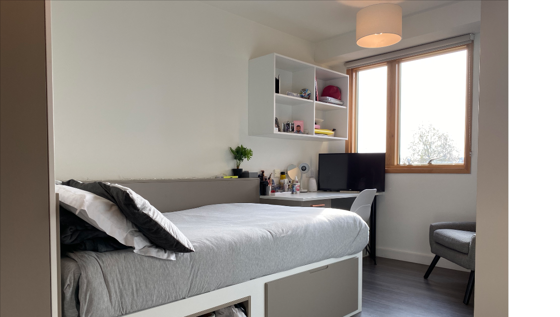 Luxury Studio - 2