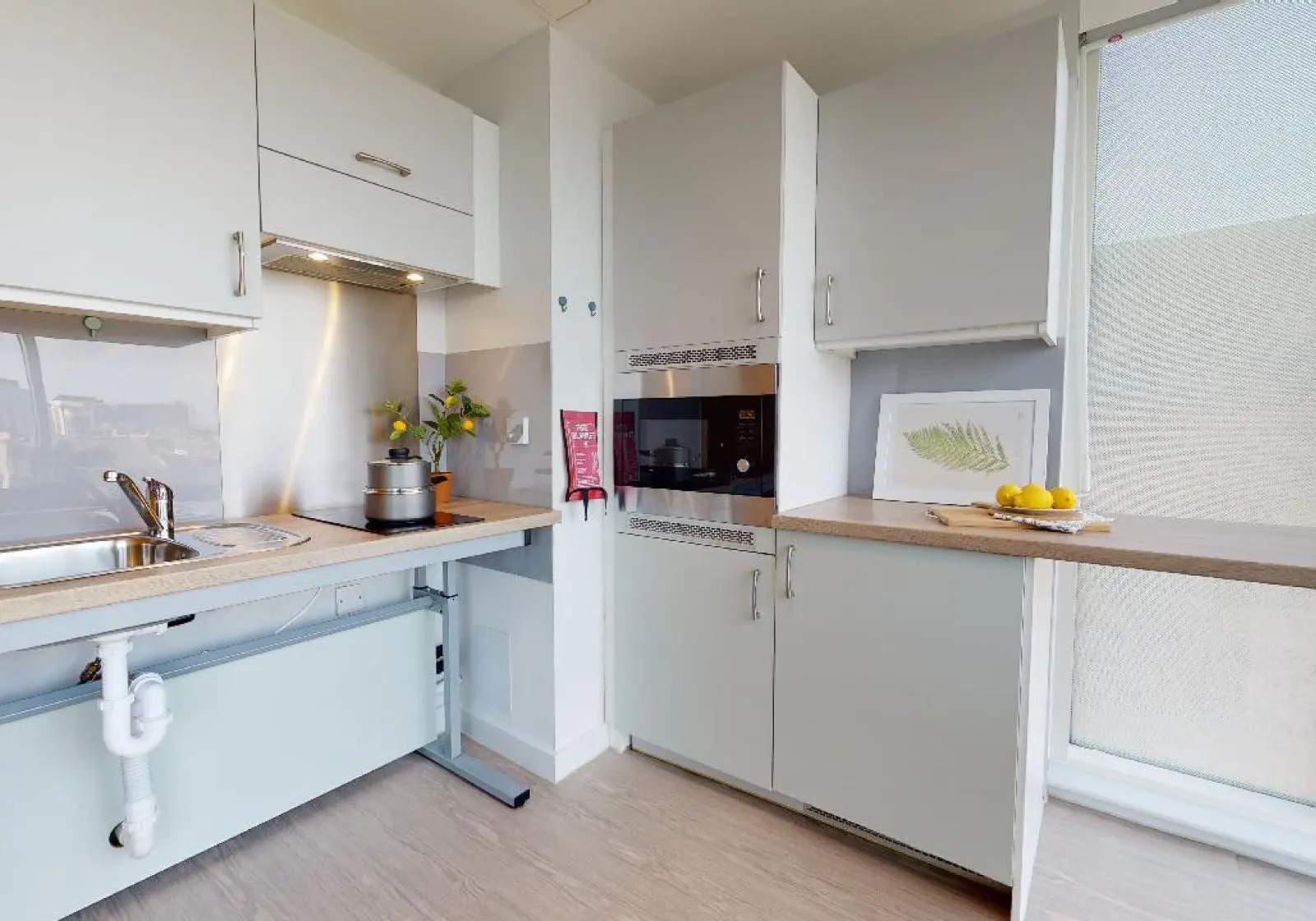  Platinum Studio Plus  -  iQ Elgin Place  - Gallery -  5