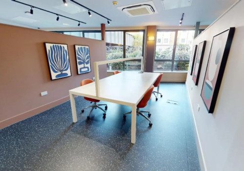 IQ Grove  - Gallery -  5