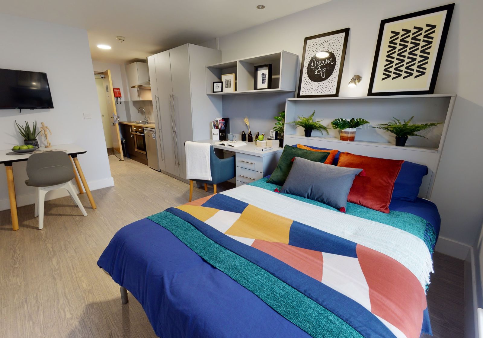  Silver Studio  -  IQ Grove  - Gallery -  2
