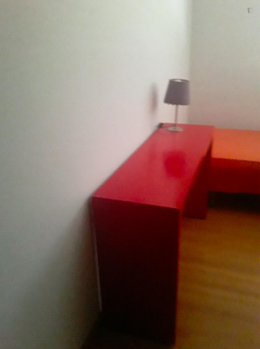 Cosy single bedroom close to Instituto Superior de Engenharia de Coimbra