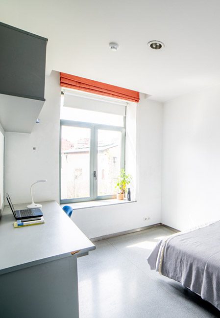  Single Room  -  Micampus Burgos San Agustin  - Gallery -  1