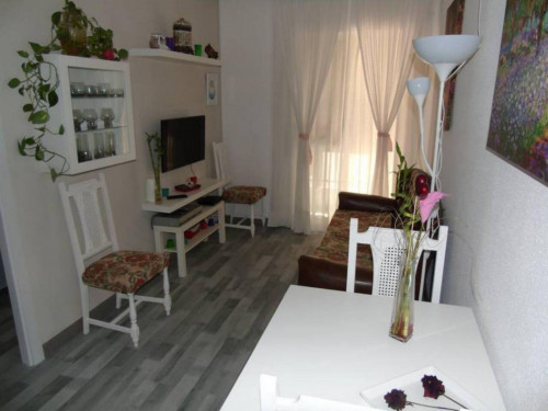 Single bedroom in 4-bedroom apartment