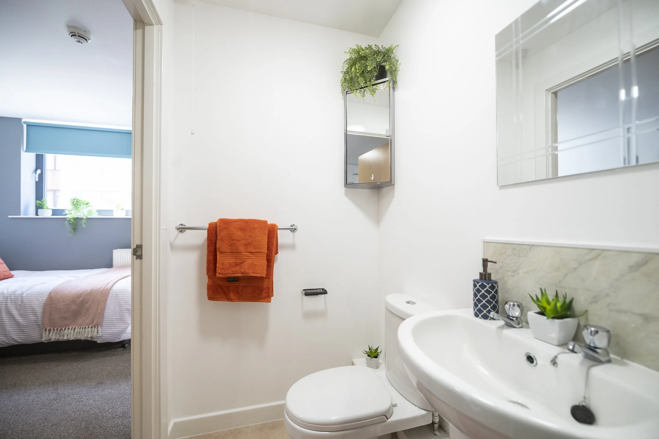PLUS Classic Studio - Double Bed - 5