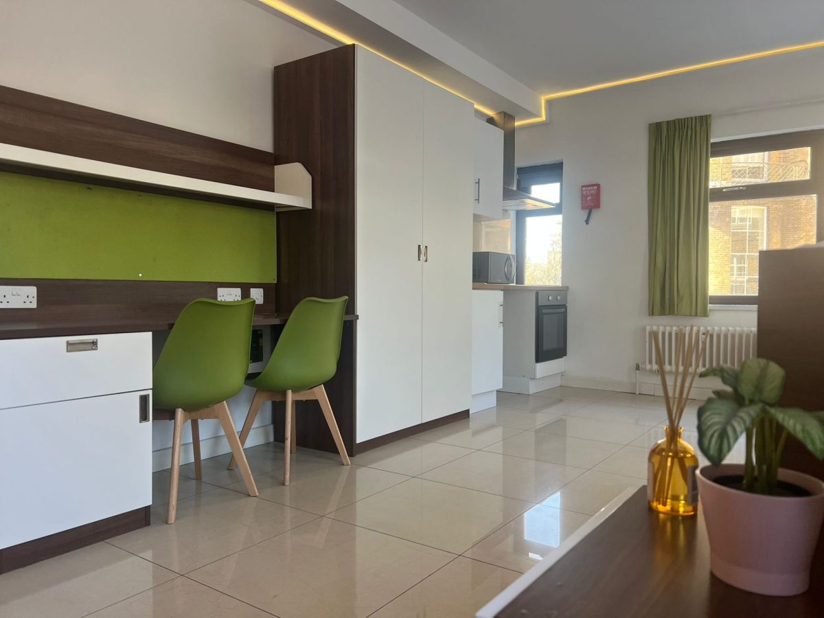  Twin Studio  -  Furzedown Student Village  - Gallery -  2