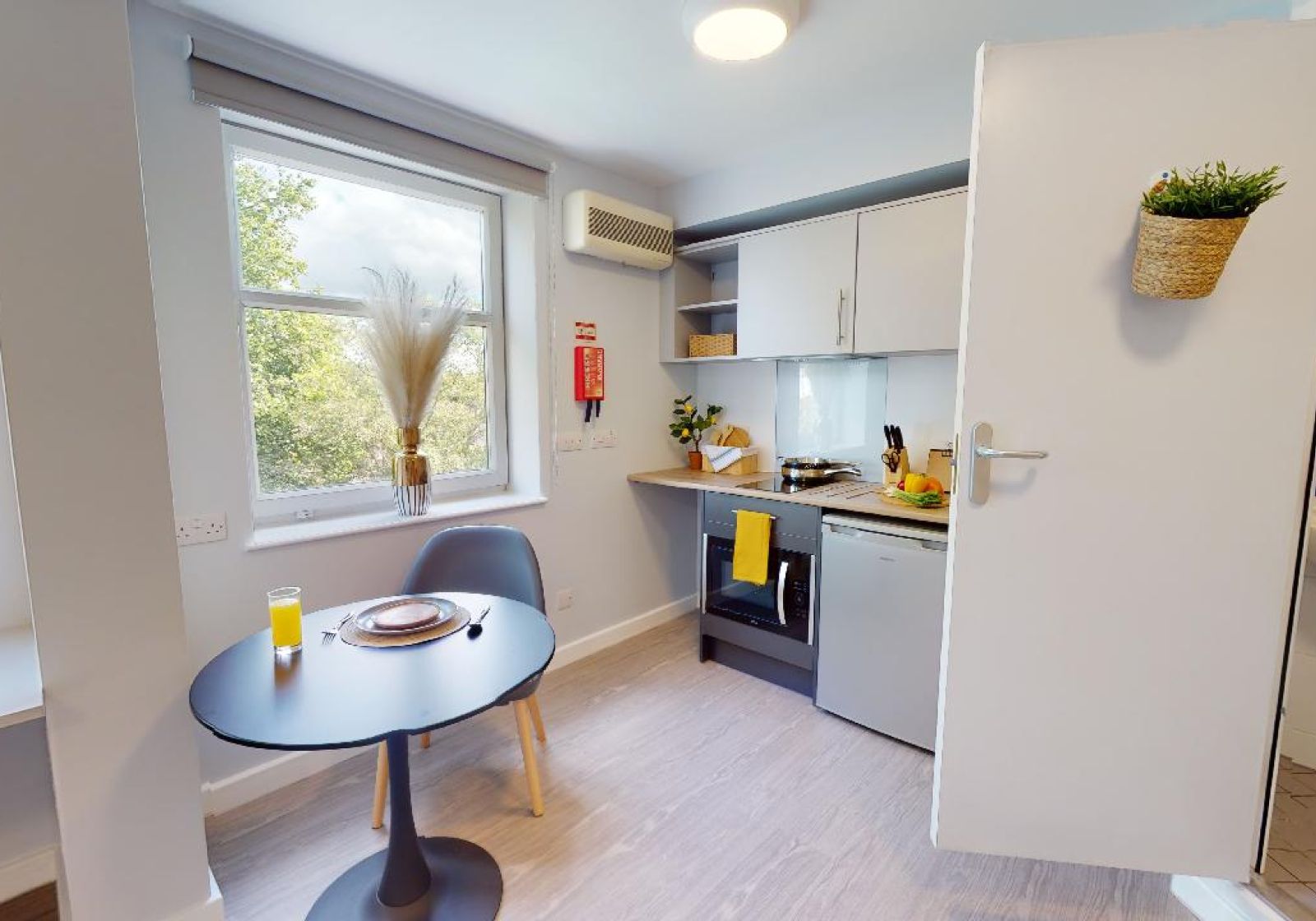  Bronze Studio Plus  -  iQ Tufnell House  - Gallery -  6