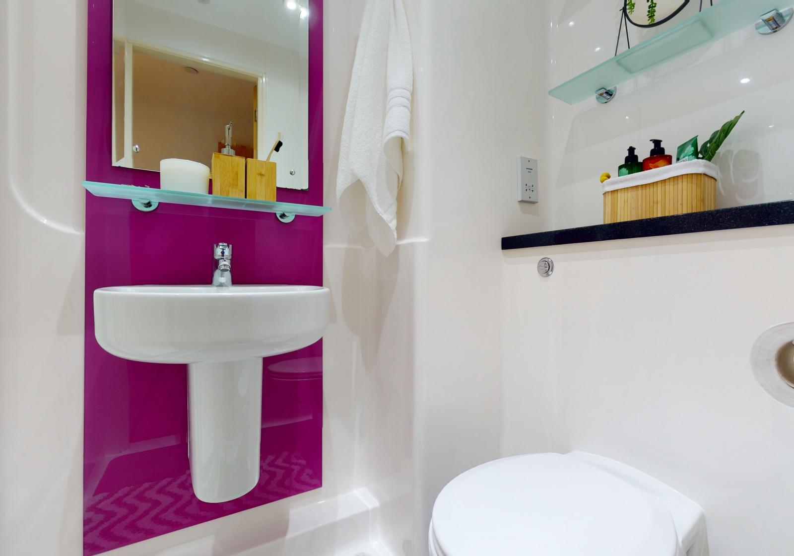  Platinum En-Suite Premium  -  iQ Penworks House  - Gallery -  4