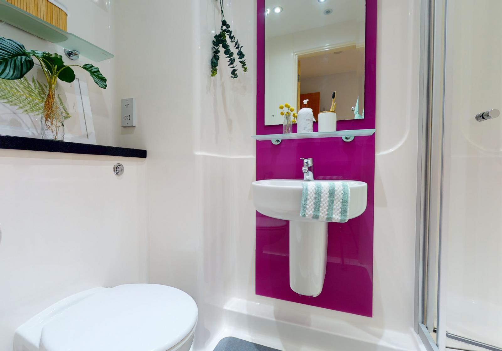  Platinum En-Suite Plus  -  iQ Penworks House  - Gallery -  6