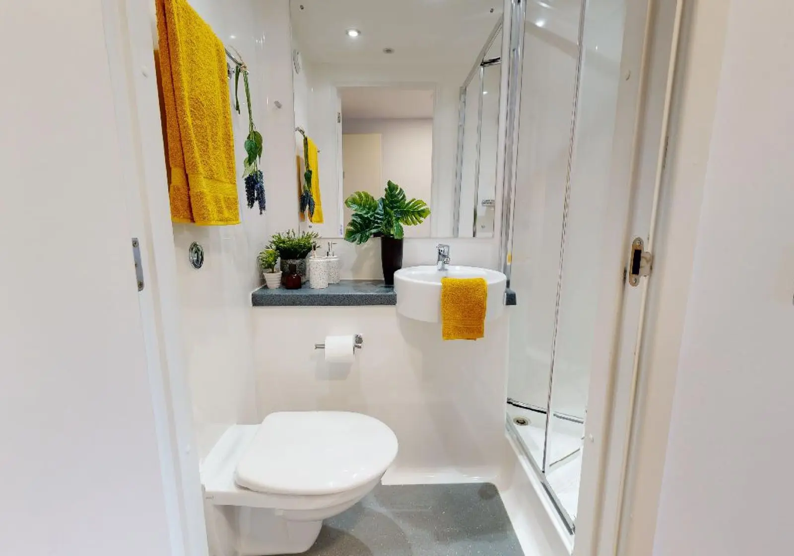 Platinum En-Suite - iQ Collingwood - Gallery - 3