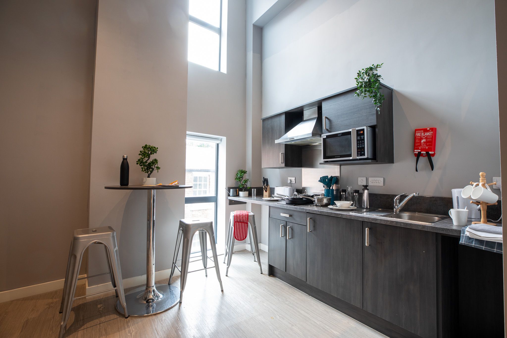  Silver Mezzanine Apartment  -  Collegiate Plummer House  - Gallery -  4