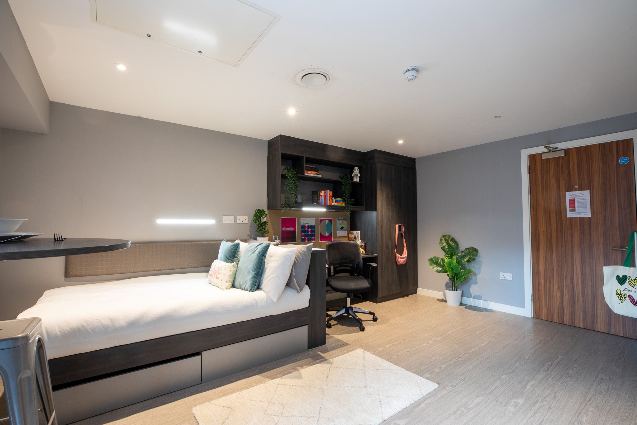 Gold Studio  -  Collegiate Plummer House  - Gallery -  5