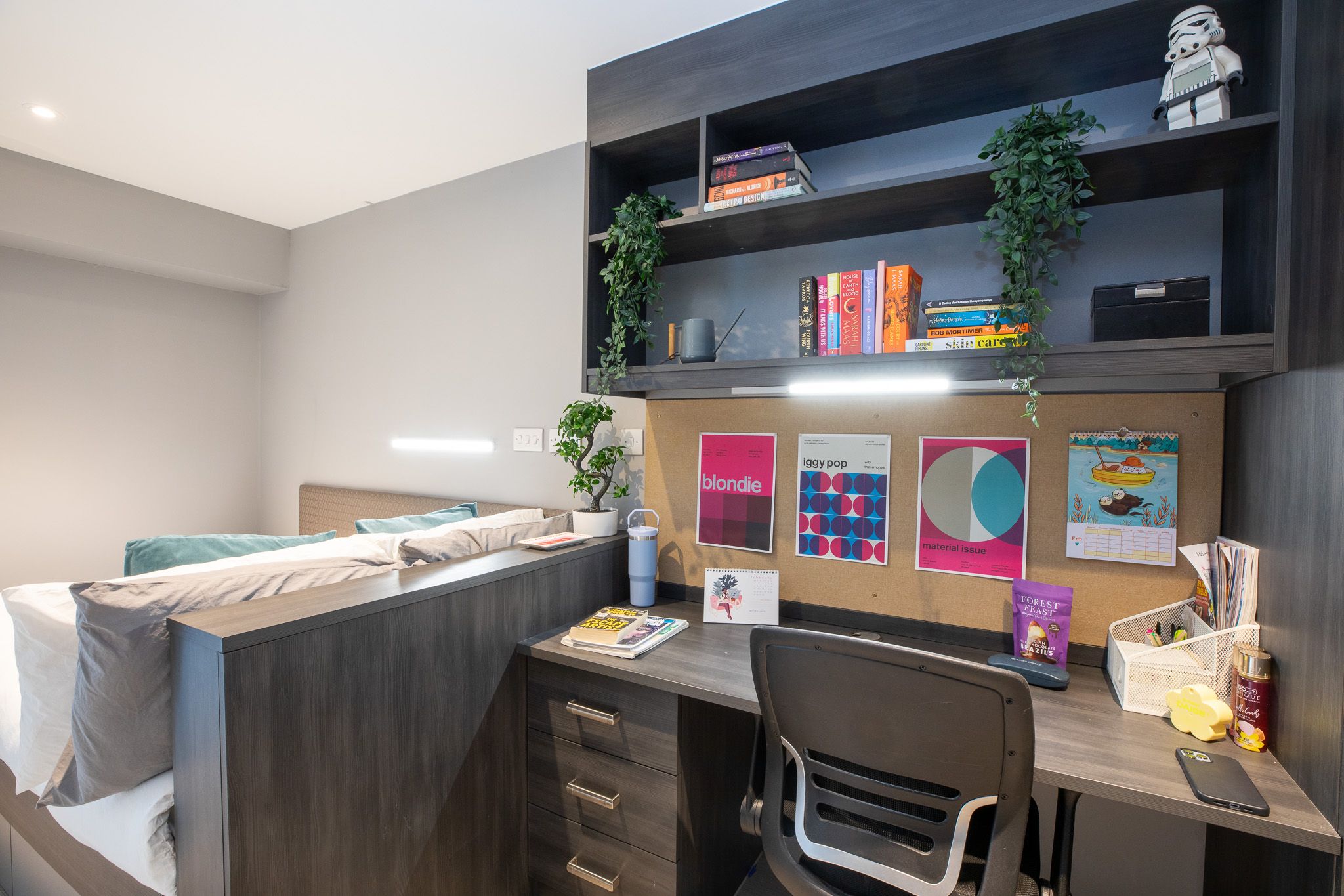  Gold Studio  -  Collegiate Plummer House  - Gallery -  2