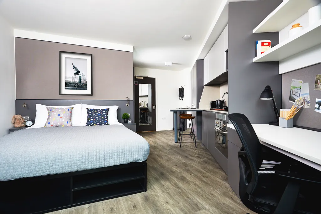  Premium Plus Studio  -  Strawberry Place  - Gallery -  1