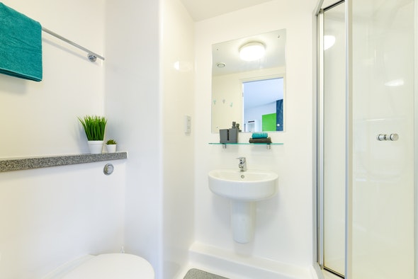  Studio Platinum  -  St James' Point Roost  - Gallery -  3