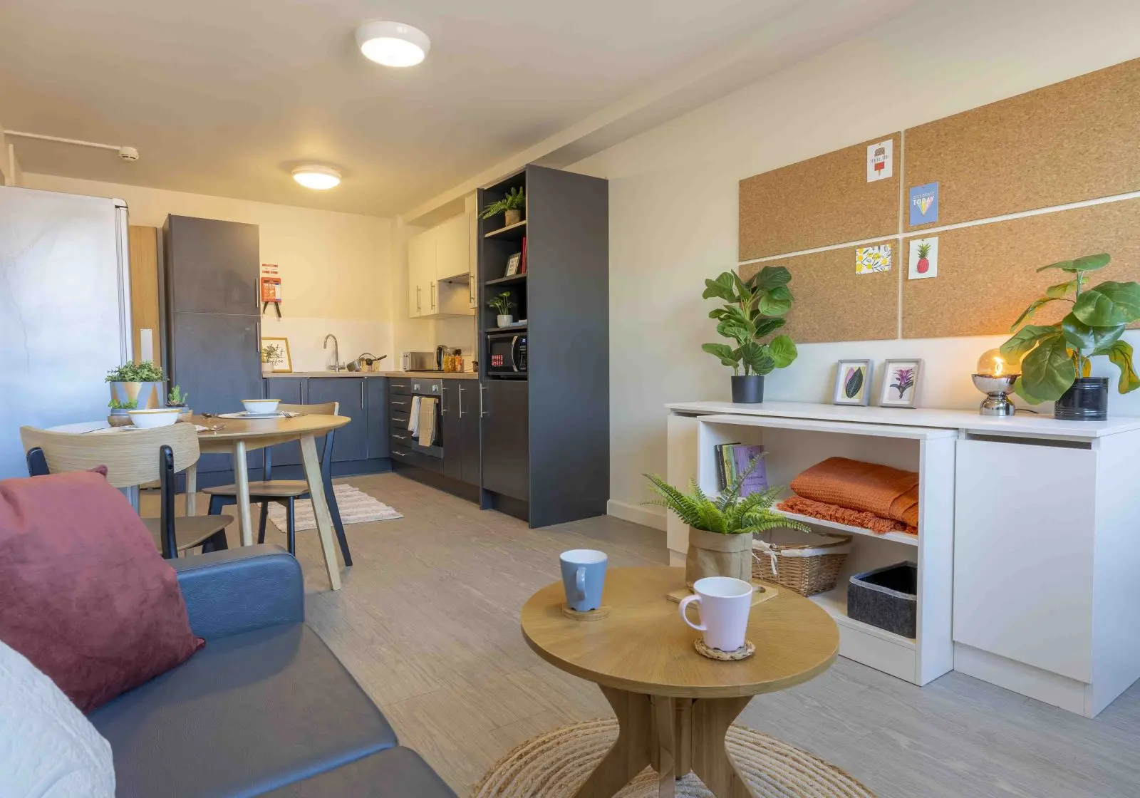 Penthouse 1 Bed - iQ Kerria Apartments - Gallery - 5
