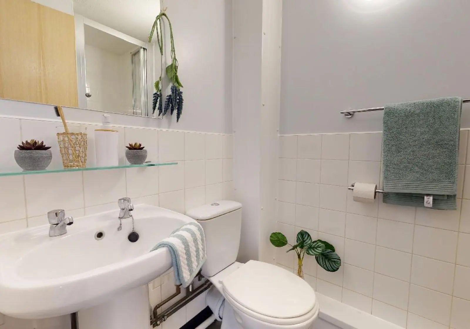  Gold Mini Studio Plus  -  iQ Student Quarter  - Gallery -  4