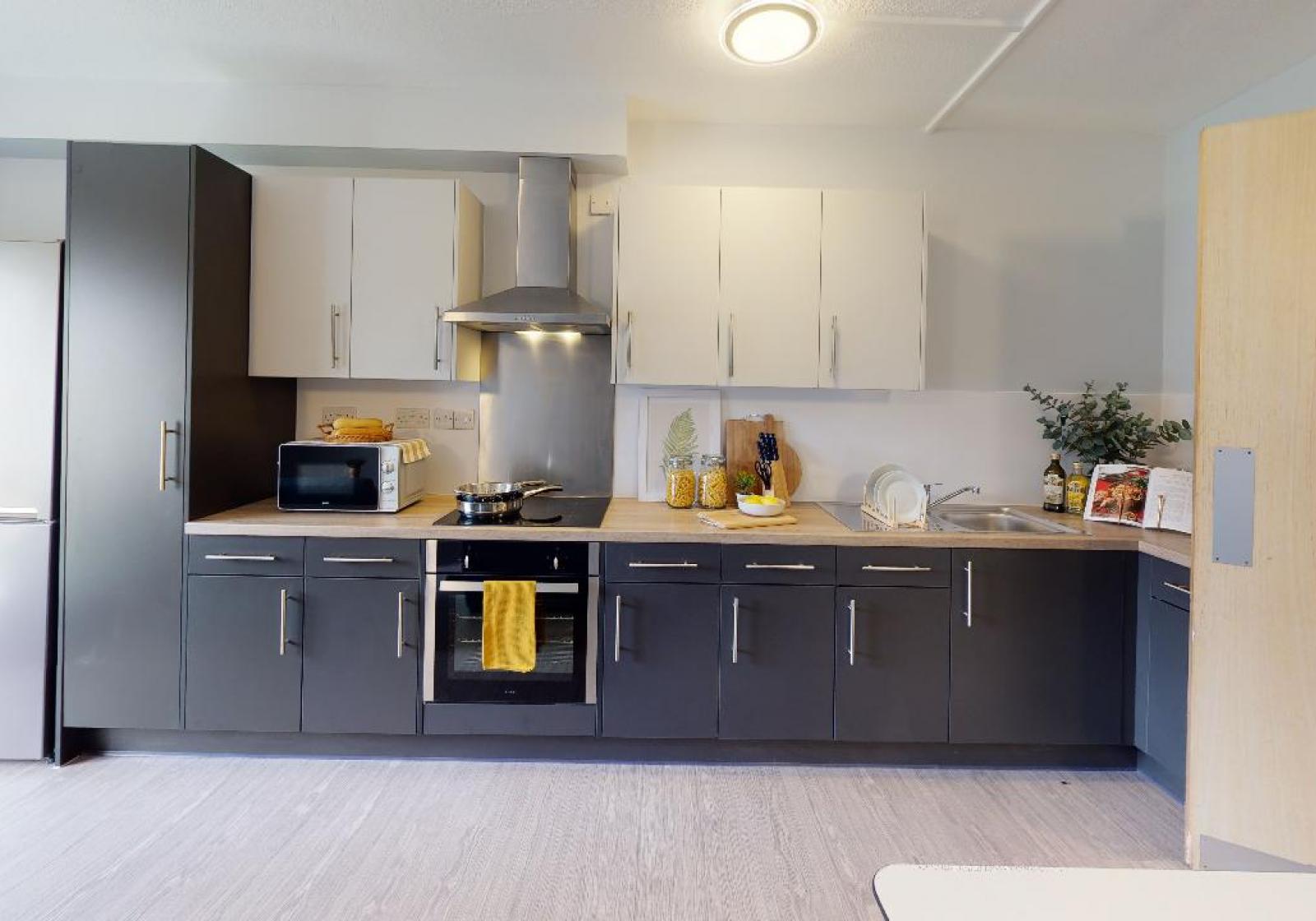  Gold Mini Studio  -  iQ Student Quarter  - Gallery -  6