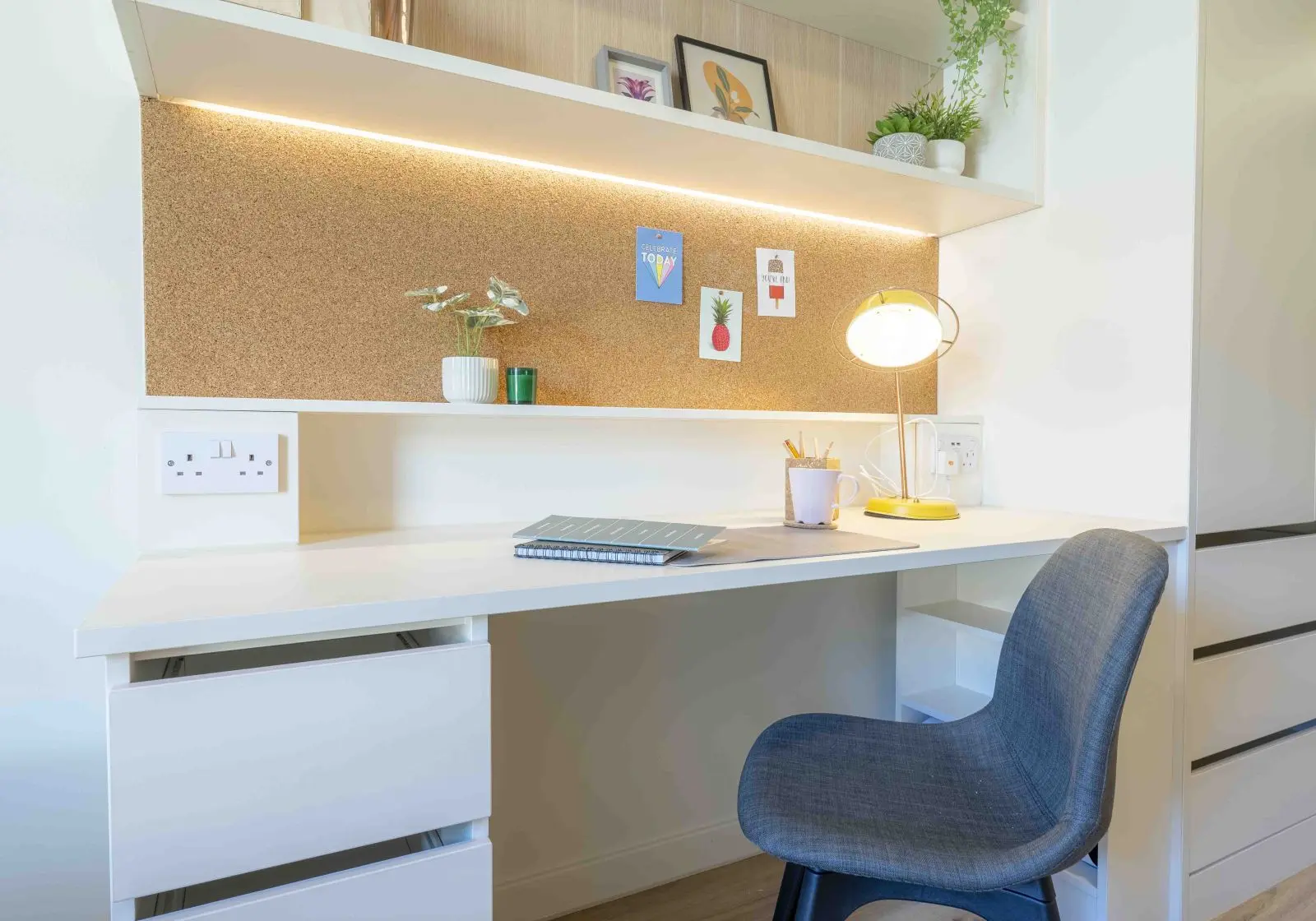 Bronze Studio Plus  -  iQ Bristol  - Gallery -  3