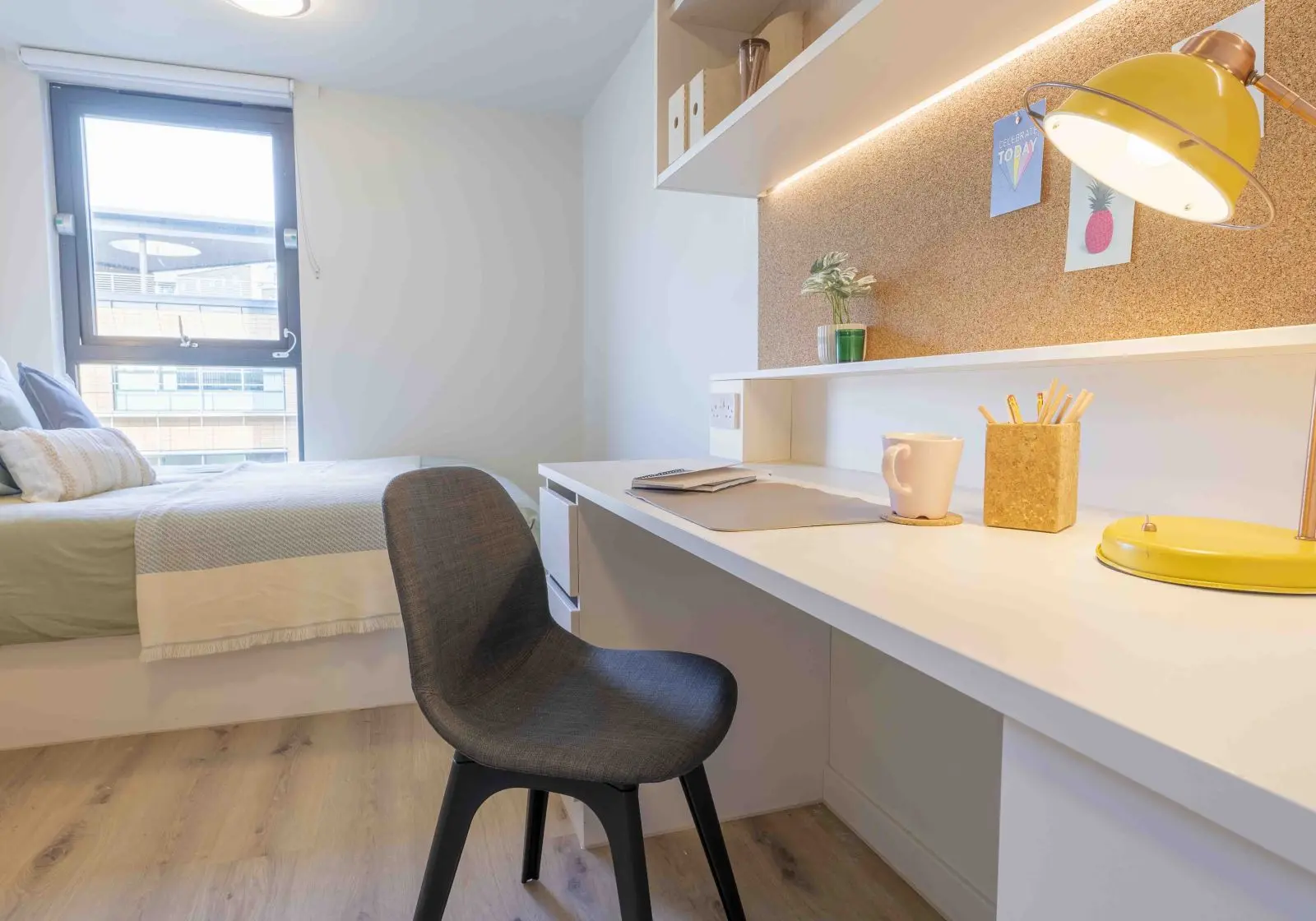 Bronze Studio Plus  -  iQ Bristol  - Gallery -  5