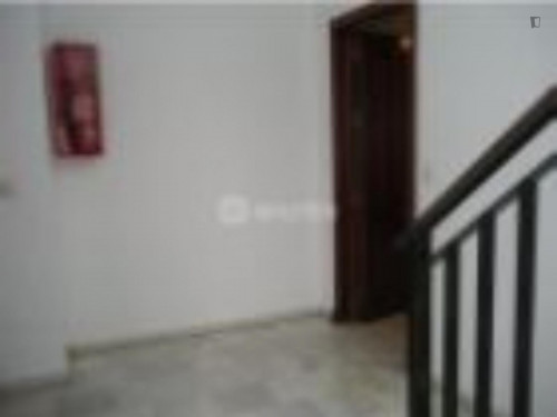 Nice single bedroom in a two bedroom apartment.
