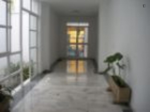 Nice single bedroom in a two bedroom apartment.