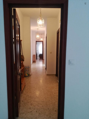 Nice single bedroom in a two bedroom apartment. - Gallery - 14