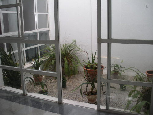 Nice single bedroom in a two bedroom apartment. - Gallery - 24