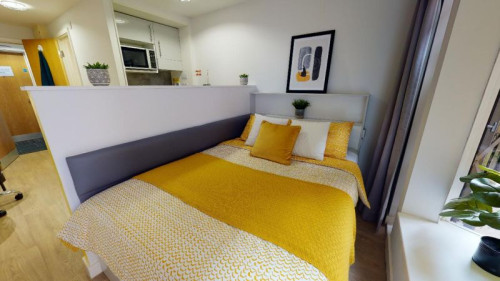 iQ Alice House - Gallery - 11
